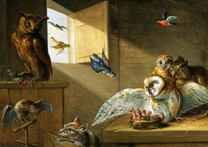 Une famille de hiboux, autres oiseaux et un chat